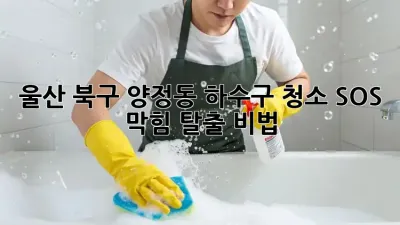 💥 울산 북구 양정동 하수구 청소 SOS! 막힘 탈출 비법 🚽✨